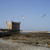 6135125_Vers-Port-Essaouira---elakramine